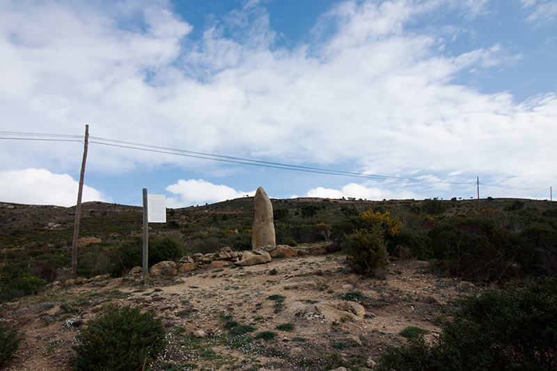 Menhir o pedra dreta del Mas Mares I