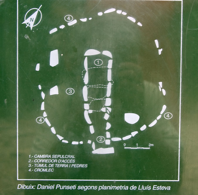 Plànol: La Cova d'en Daina 1de6