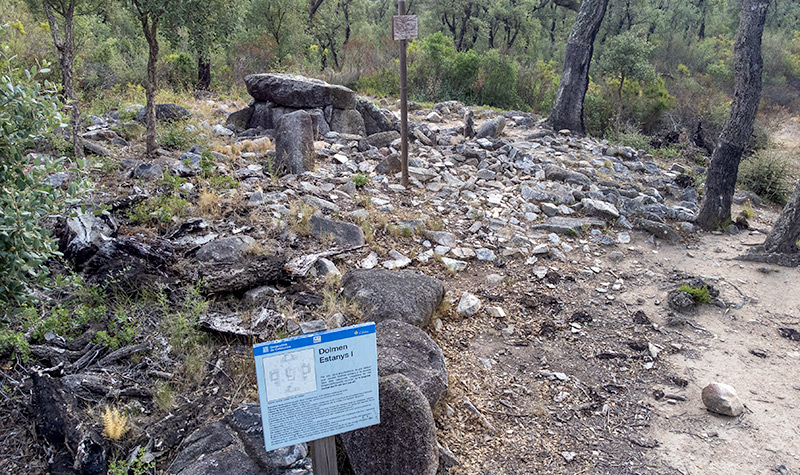 Dolmen Estanys I