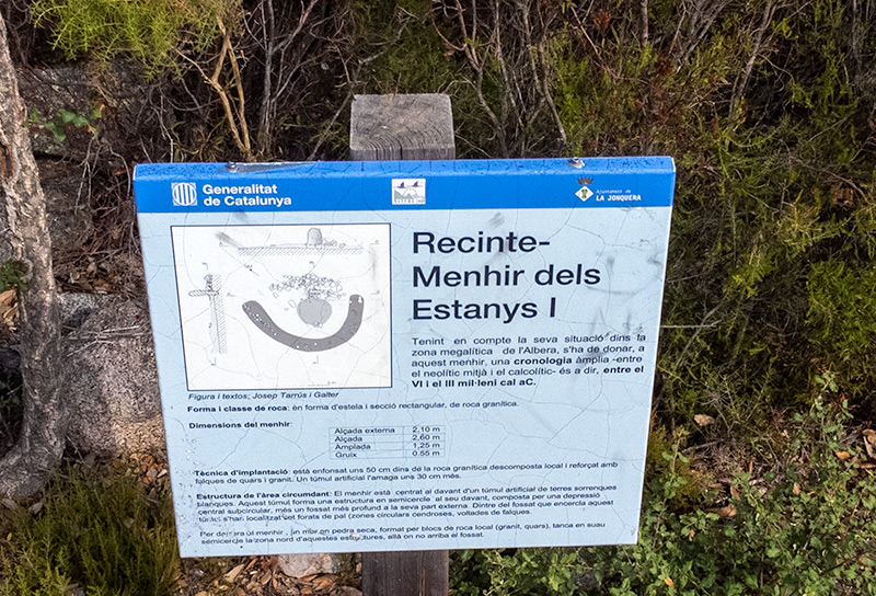 Cartell: Menhir dels Estany I