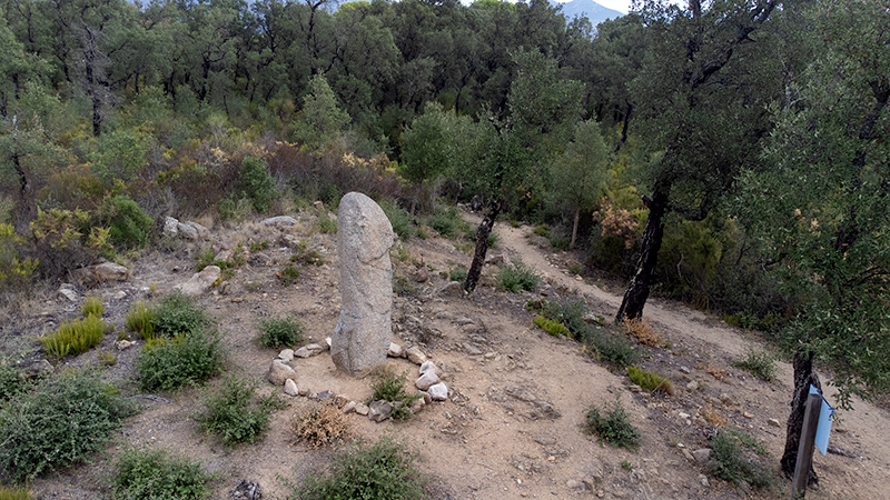 Menhir dels Estany II