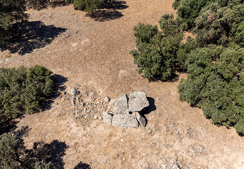 Dolmen del Mas Baleta I. No hi ha cartell indicador