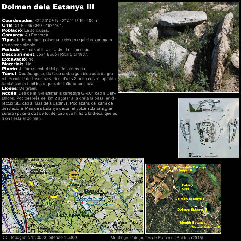 Dolmen dels Estanys III 1/2