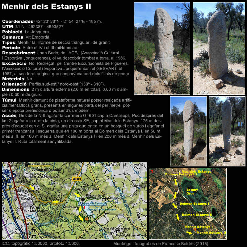Menhir dels Estanys II