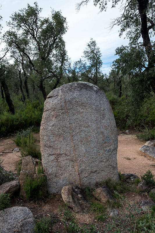 Menhir del Estanys I