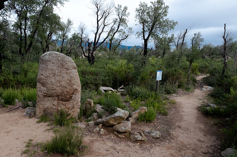 Menhir del Estanys I