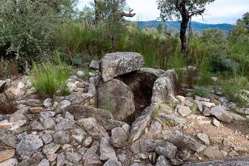 Dolmen Estanys I