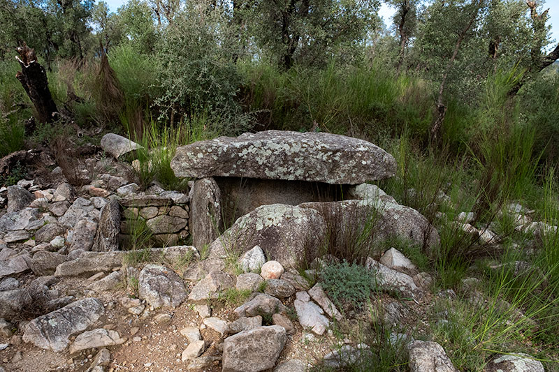 Dolmen Estanys I