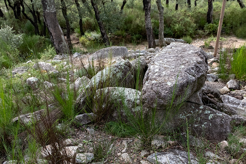 Dolmen Estanys I