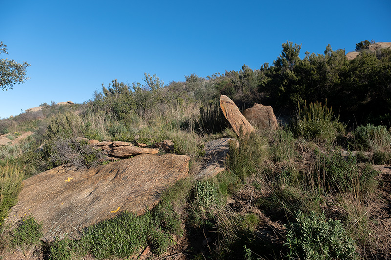 Dolmen Caigut II