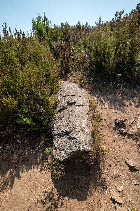 Menhir de Santa Helena