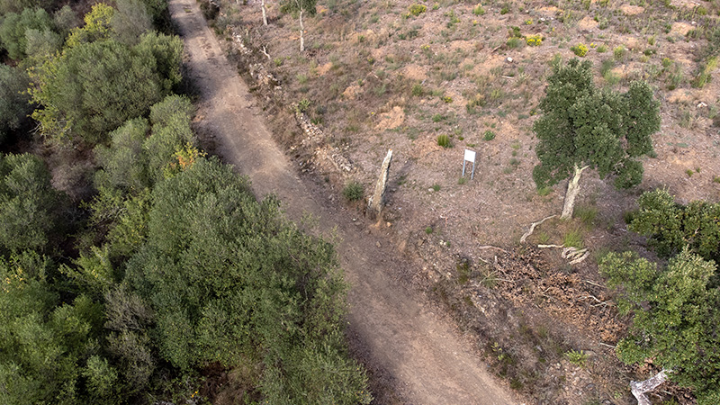 Menhir del mas Roqué