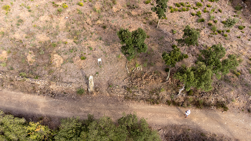 Menhir del mas Roqué