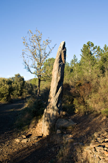 Menhir del mas Roqué 2de4