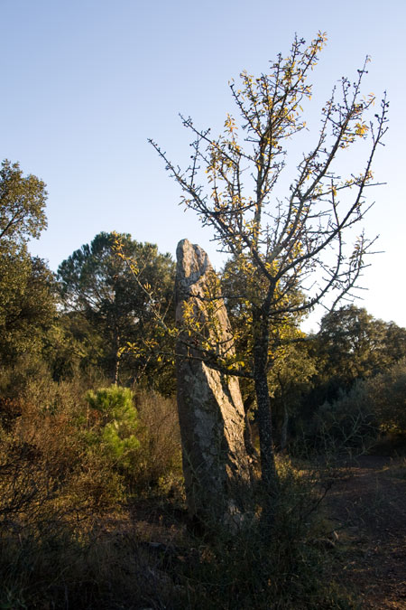 Menhir del mas Roqué 4de4