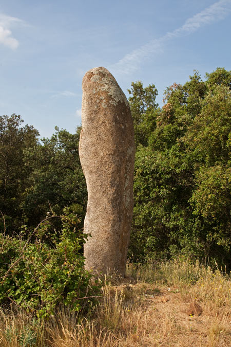 Menhir dels Palaus 2de2