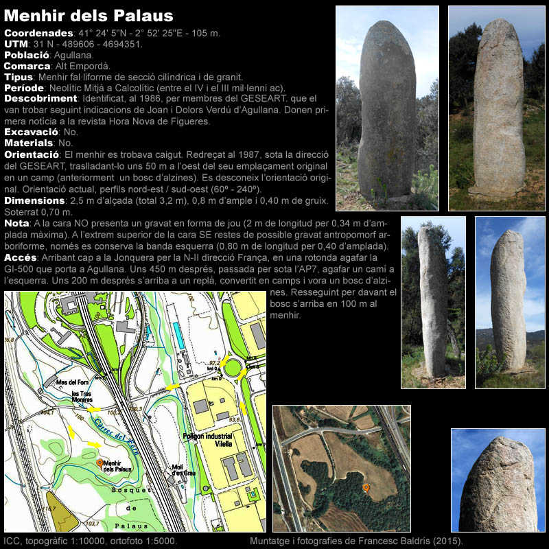 Menhir dels Palaus