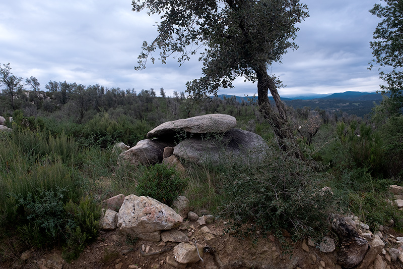 Dolmen Barraca del LLadre