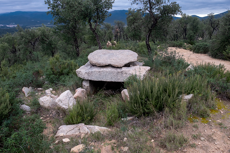 Dolmen Barraca del LLadre