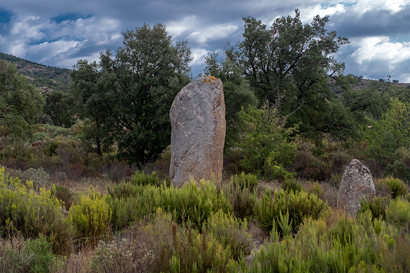 Menhir La Murtra o Pedra Gentil