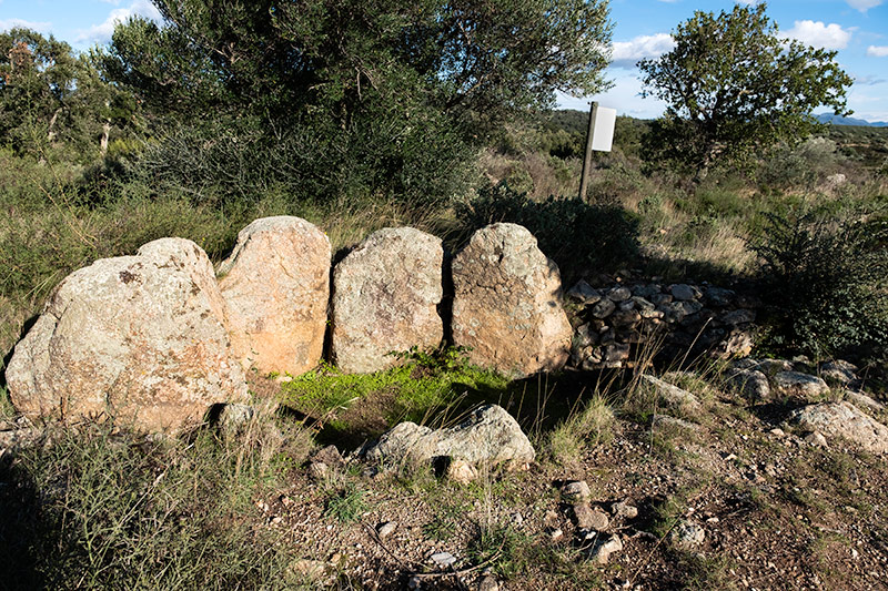 Dolmen de Tires Llargues