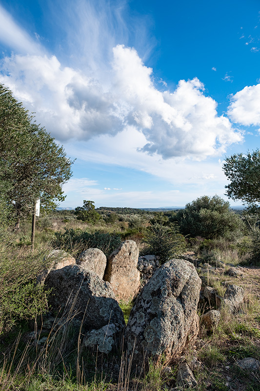 Dolmen de Tires Llargues