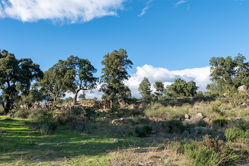 Dolmen de Tires Llargues