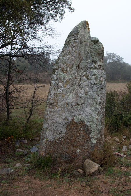 Menhir de Quer Afumat I. 3de3