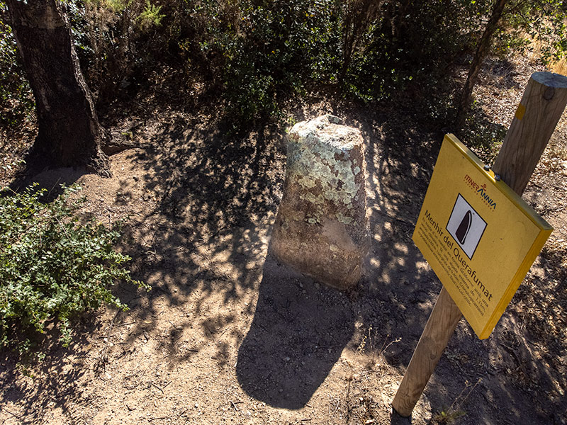 Menhir del Quer Afumat