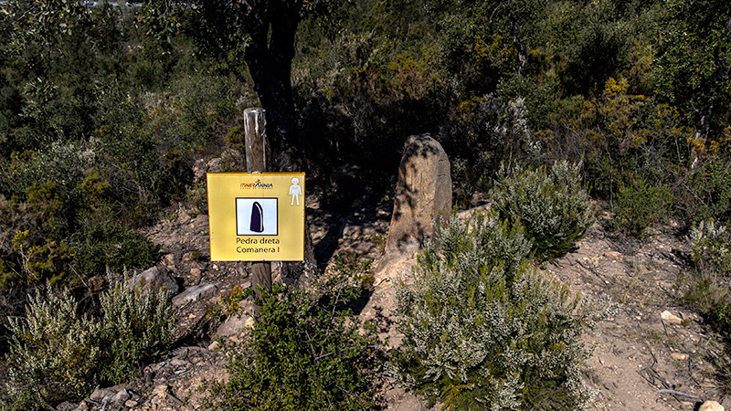 Pedra dreta de Camanera 1