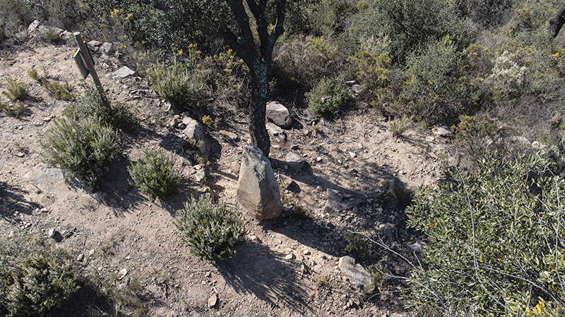 Pedra dreta de Camanera 1