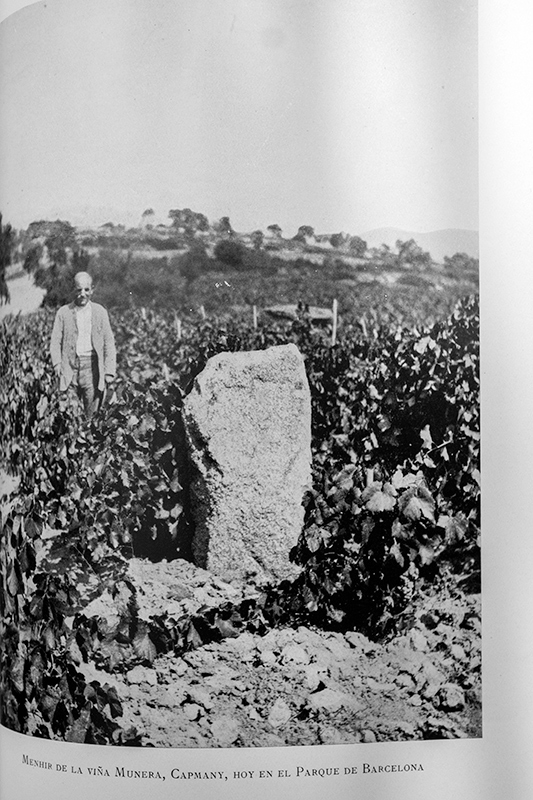 Menhir de la Viña Munera,Capmany. Hoy en el parque de Barcelona.