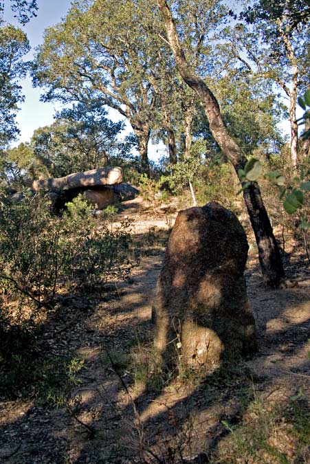 Menhir del Quer Afumat II 4de5