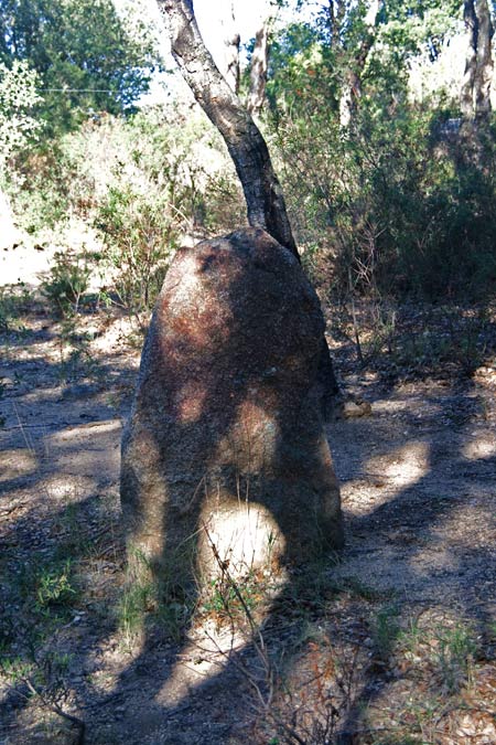 Menhir del Quer Afumat II 5de5