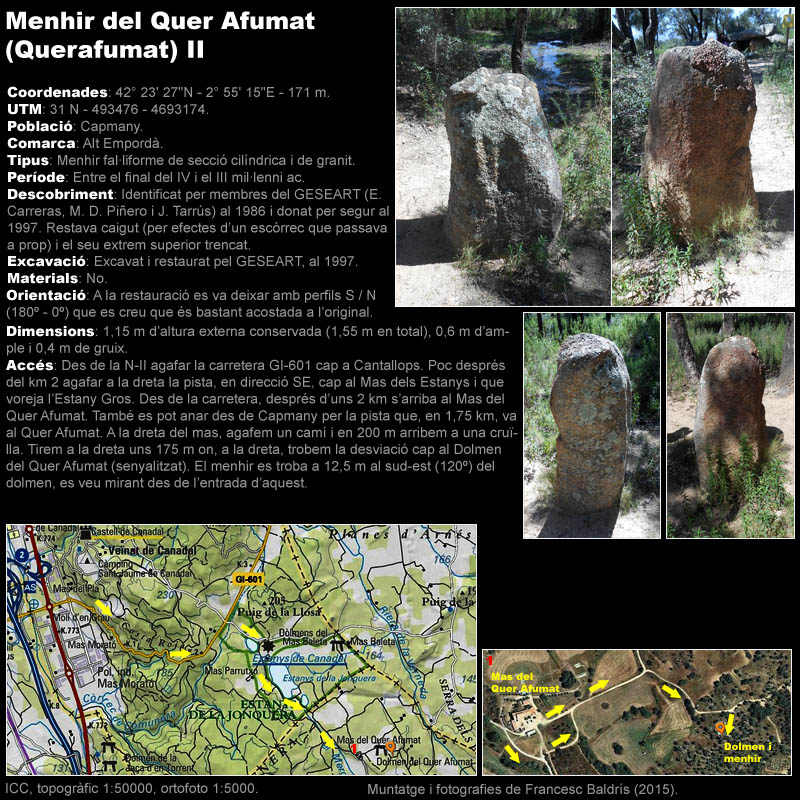 Menhir del Quer Afumat II