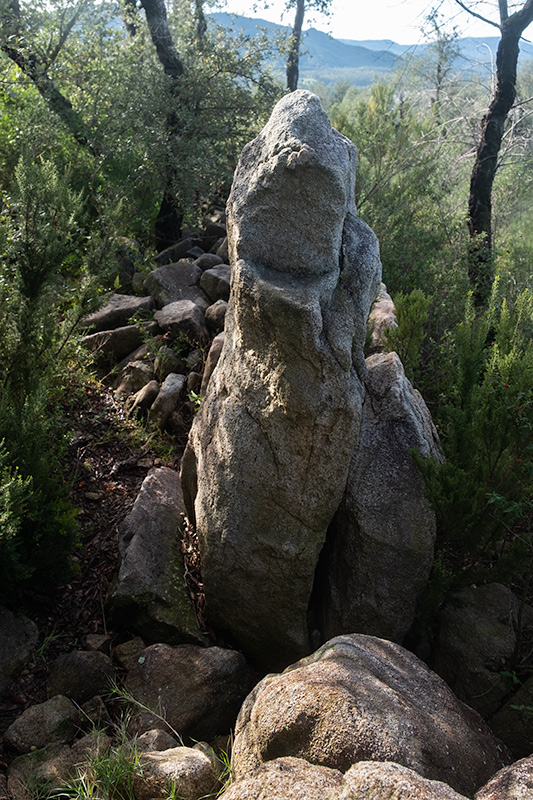 Pedra dreta Comanera II