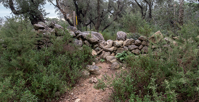 Dolmen del Mirgoler