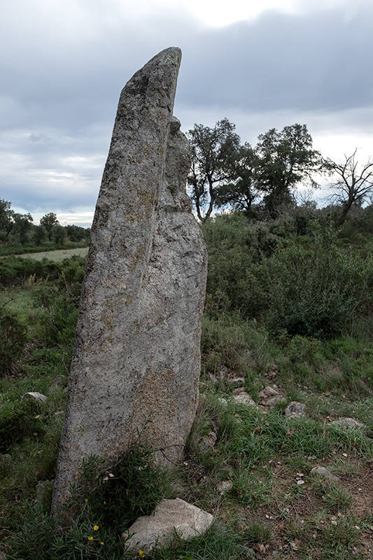 Menhir Quer Afumat I