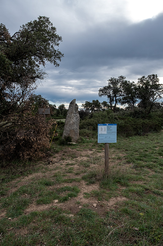 Menhir Quer Afumat I