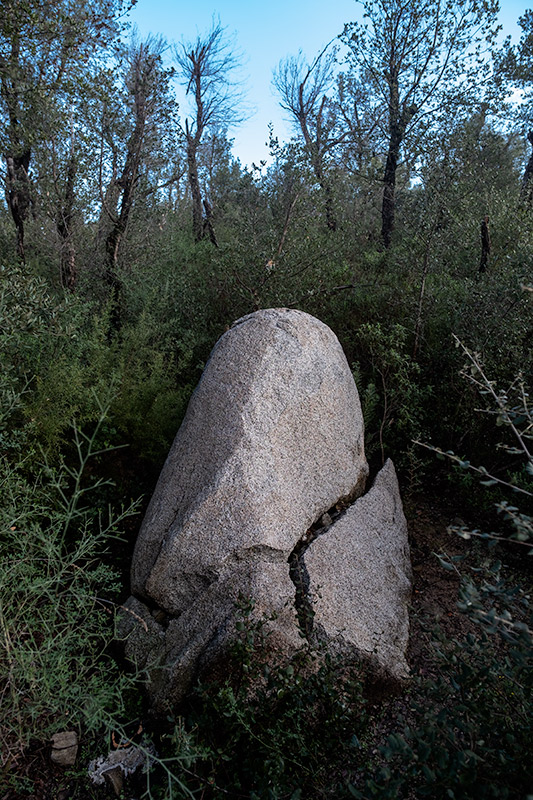 Menhir Vidal