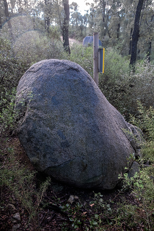 Menhir Vidal