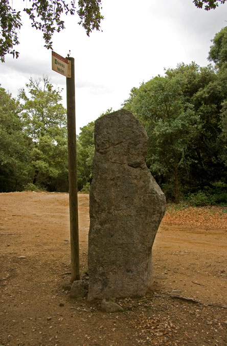 Menhir de la Pedra Dreta 2de2