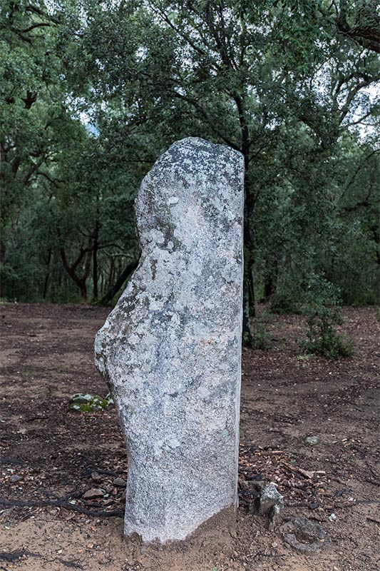 Menhir de la Pedra Dreta