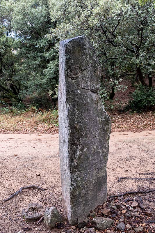 Menhir de la Pedra Dreta