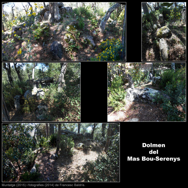 Dolmen del Mas Bou-Serenys 2/4