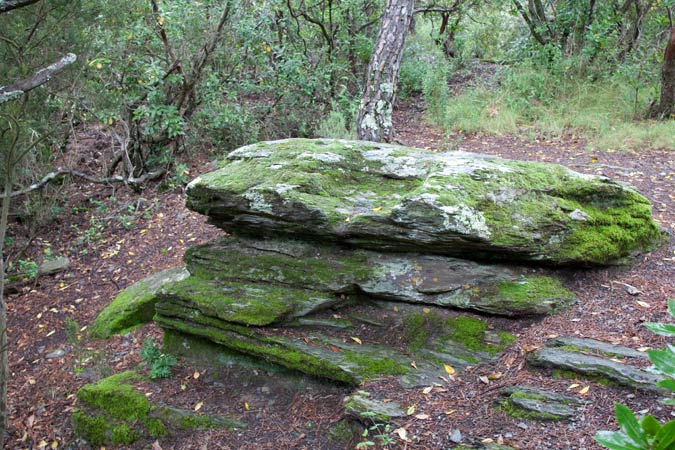 Roca del Llobinar 1de3