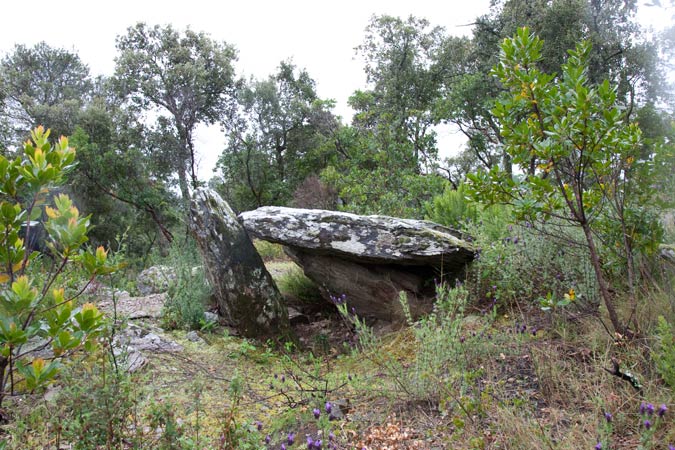 Dolmen de la Serra d'en Cals 3de3