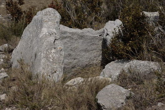 Dolmen del Cogulló de Vilanova de Meià