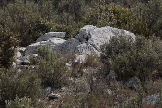 Dolmen del Cogulló de Vilanova de Meià