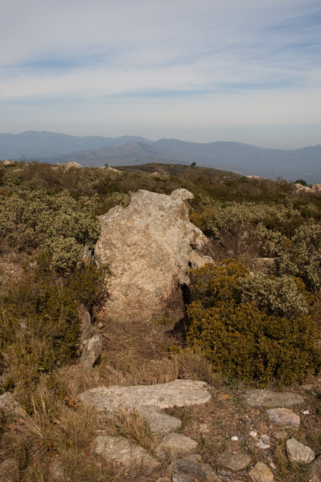 Coll de Bosc de la Margalla 2de4